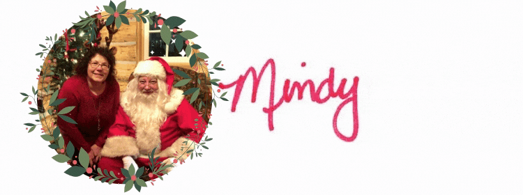 Mindy Crawford poses with santa