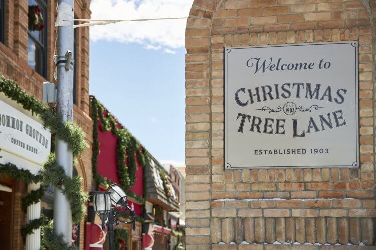 Welcome to Christmas Tree Lane