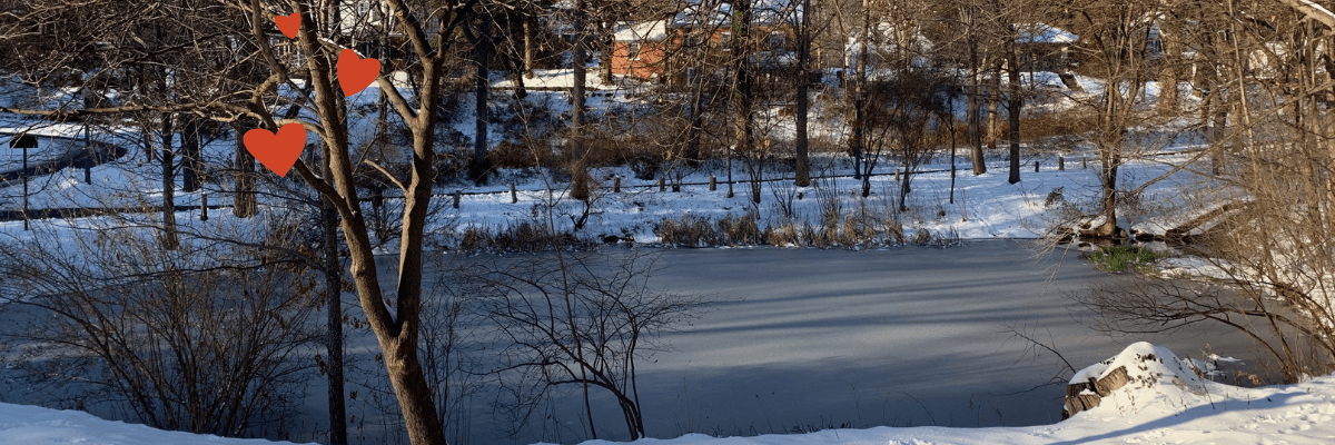 Feature Lower Pond photo by Dan Stern