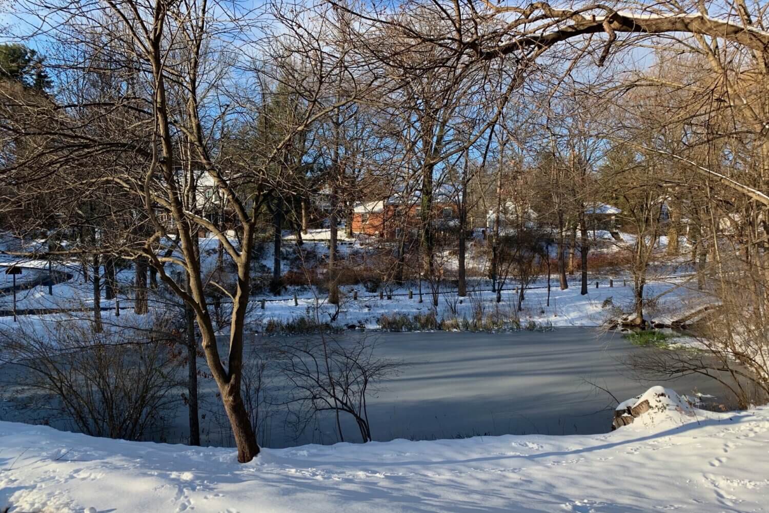 Bellevue Park pond is partially iced over