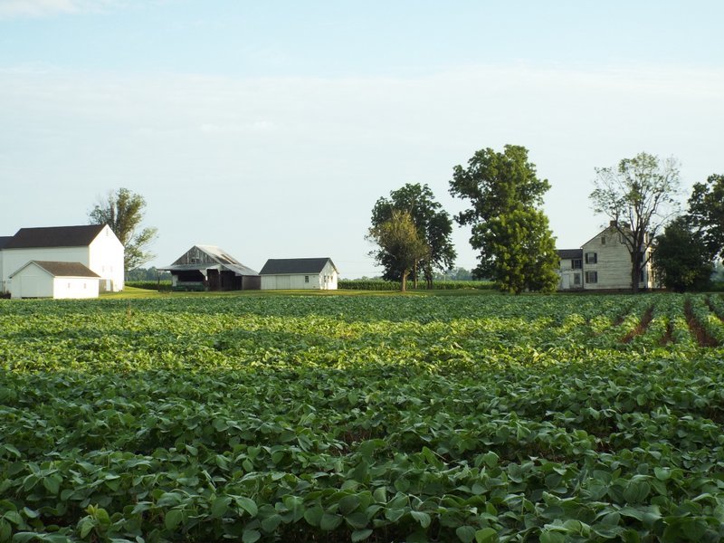 PA at Risk Satterthwaite overlooks cropland