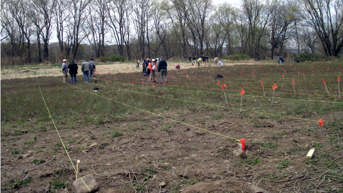 Field is staked with lines to create a grid for archaeological research